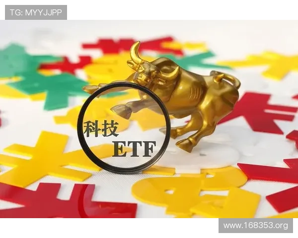 全面解析澳门现金流动与风险控制策略